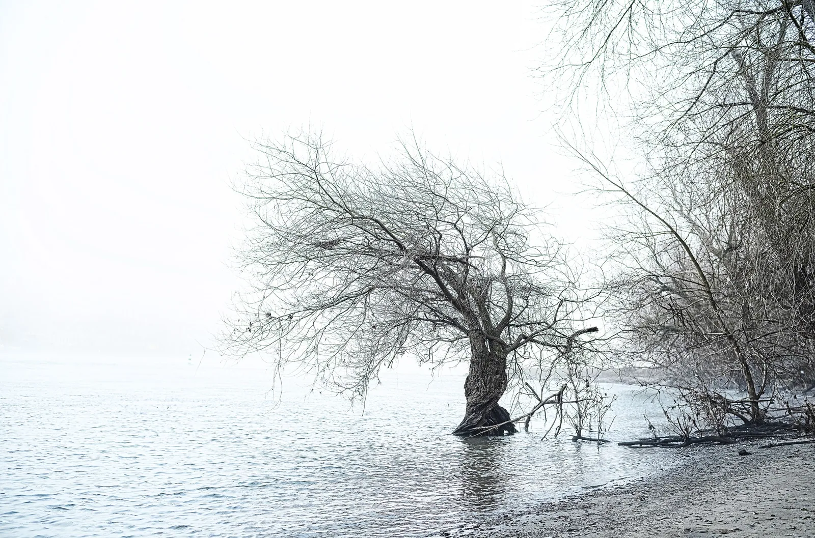 Fine Art Print